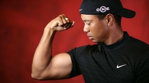 tiger-bicep